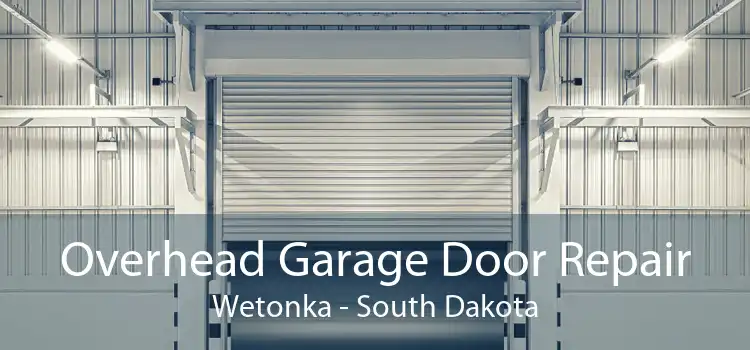 Overhead Garage Door Repair Wetonka - South Dakota
