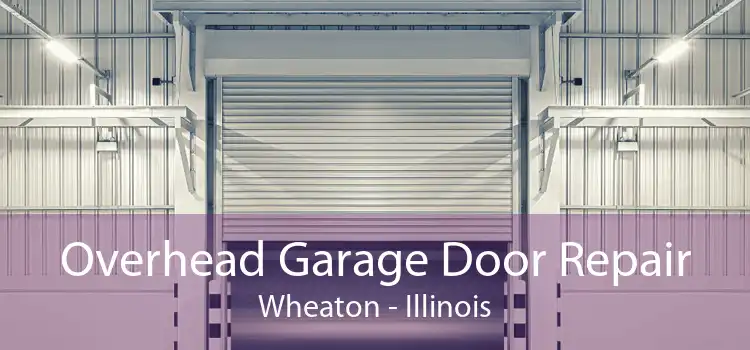 Overhead Garage Door Repair Wheaton - Illinois