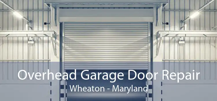Overhead Garage Door Repair Wheaton - Maryland