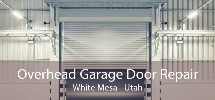 Overhead Garage Door Repair White Mesa - Utah