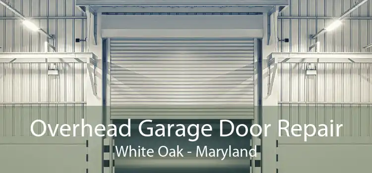 Overhead Garage Door Repair White Oak - Maryland