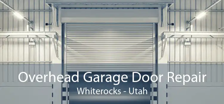 Overhead Garage Door Repair Whiterocks - Utah