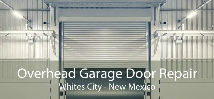 Overhead Garage Door Repair Whites City - New Mexico
