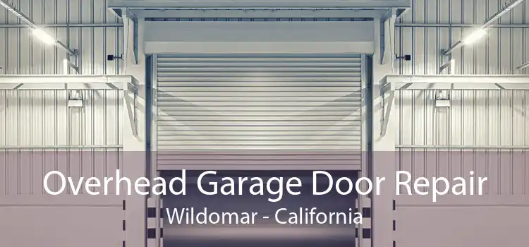 Overhead Garage Door Repair Wildomar - California