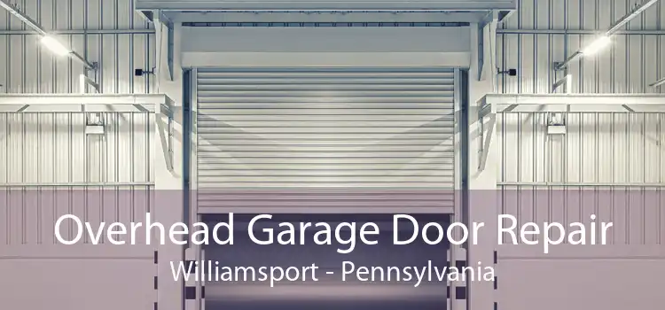 Overhead Garage Door Repair Williamsport - Pennsylvania