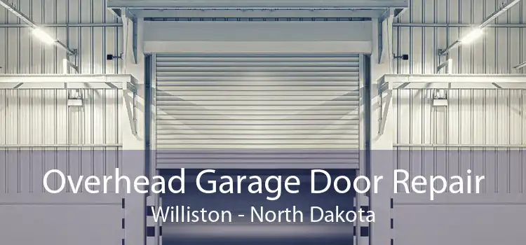Overhead Garage Door Repair Williston - North Dakota