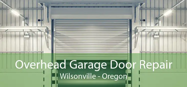Overhead Garage Door Repair Wilsonville - Oregon