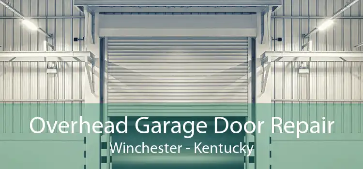 Overhead Garage Door Repair Winchester - Kentucky