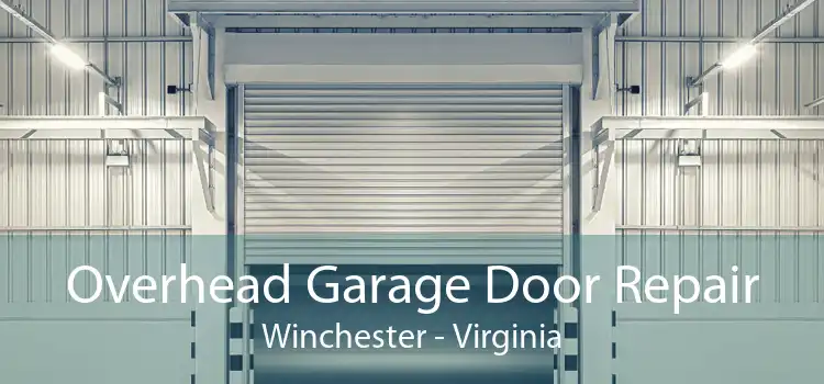 Overhead Garage Door Repair Winchester - Virginia