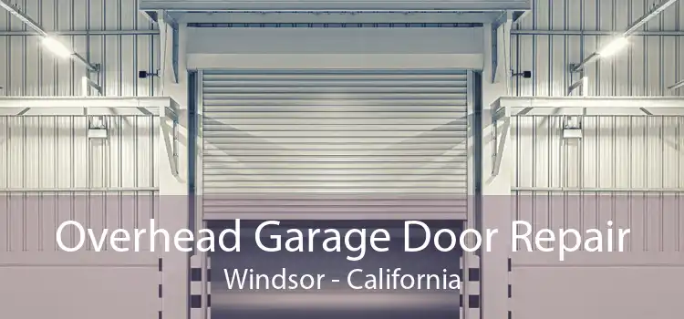 Overhead Garage Door Repair Windsor - California