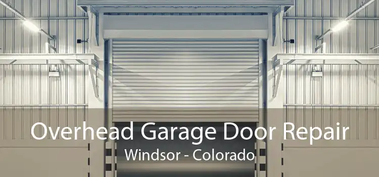 Overhead Garage Door Repair Windsor - Colorado