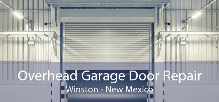 Overhead Garage Door Repair Winston - New Mexico