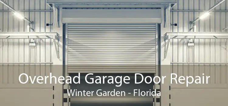 Overhead Garage Door Repair Winter Garden - Florida