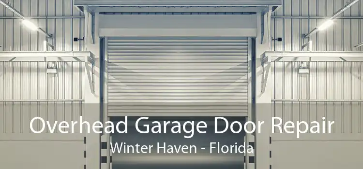 Overhead Garage Door Repair Winter Haven - Florida