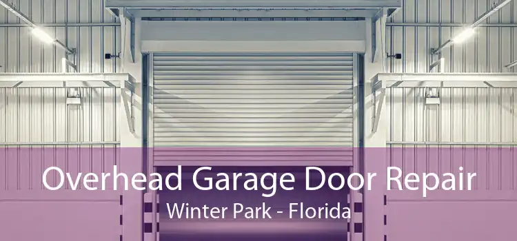 Overhead Garage Door Repair Winter Park - Florida