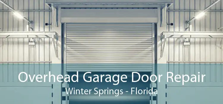 Overhead Garage Door Repair Winter Springs - Florida