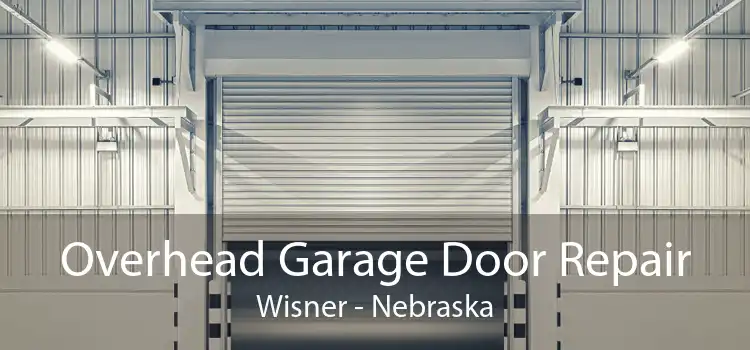 Overhead Garage Door Repair Wisner - Nebraska