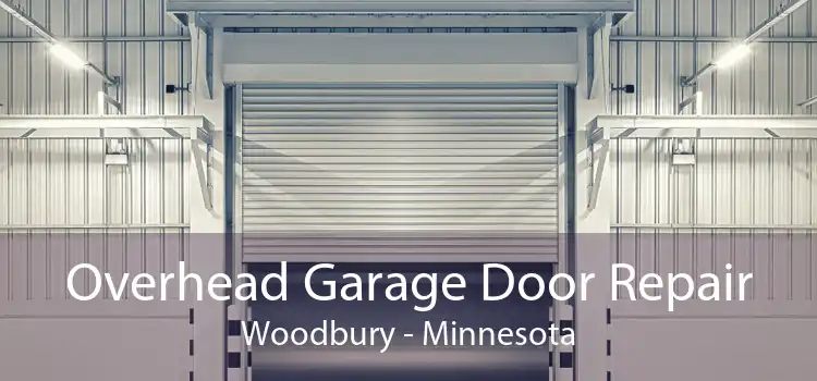 Overhead Garage Door Repair Woodbury - Minnesota
