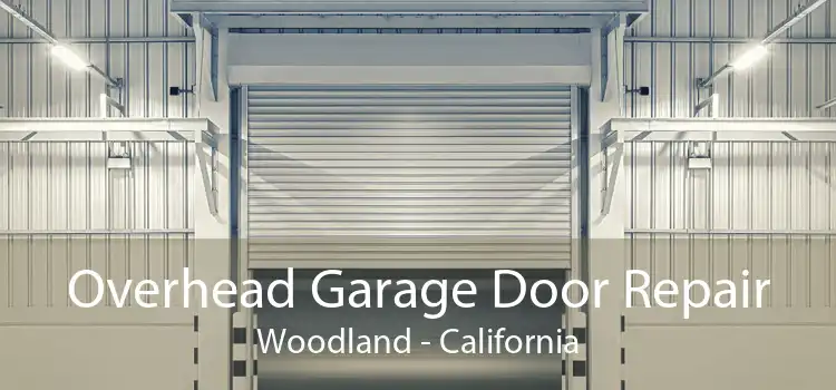 Overhead Garage Door Repair Woodland - California