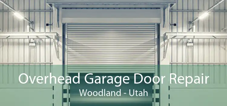 Overhead Garage Door Repair Woodland - Utah