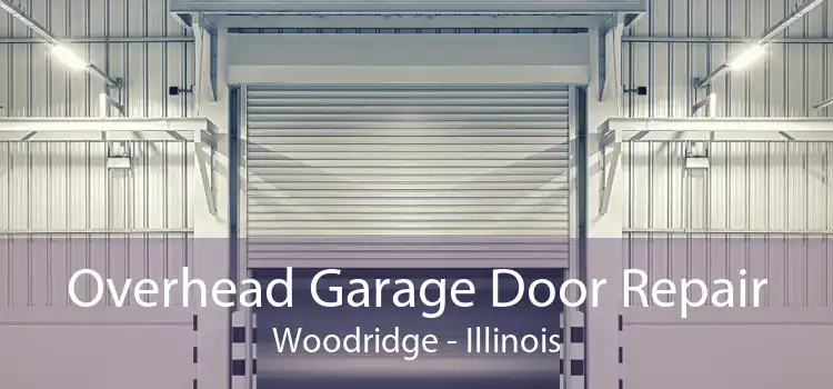 Overhead Garage Door Repair Woodridge - Illinois