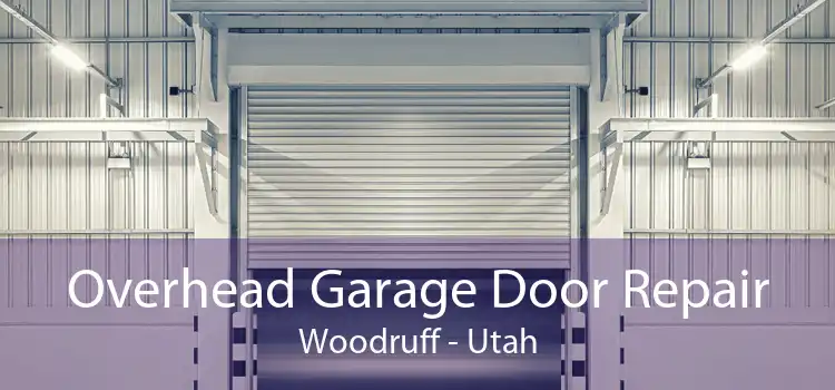 Overhead Garage Door Repair Woodruff - Utah