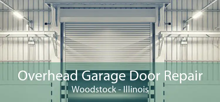 Overhead Garage Door Repair Woodstock - Illinois