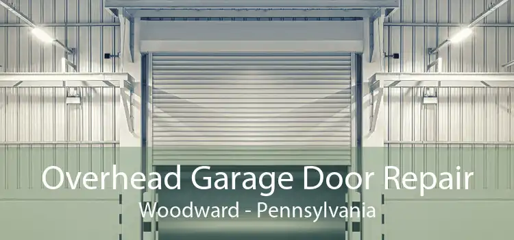Overhead Garage Door Repair Woodward - Pennsylvania