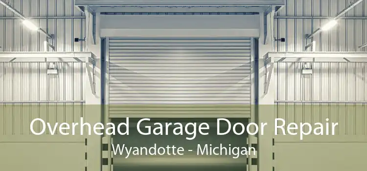 Overhead Garage Door Repair Wyandotte - Michigan