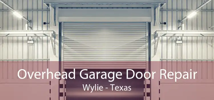 Overhead Garage Door Repair Wylie - Texas
