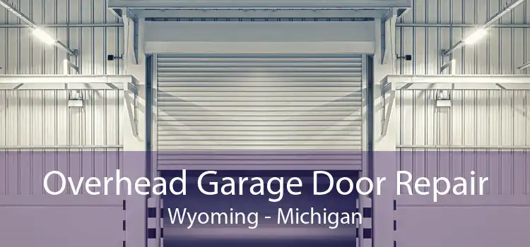Overhead Garage Door Repair Wyoming - Michigan