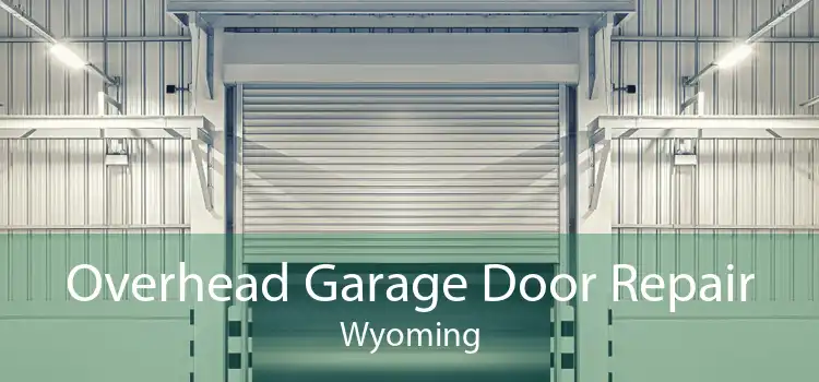 Overhead Garage Door Repair Wyoming