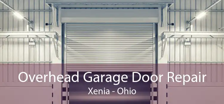 Overhead Garage Door Repair Xenia - Ohio