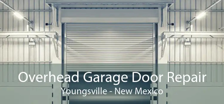 Overhead Garage Door Repair Youngsville - New Mexico