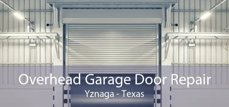 Overhead Garage Door Repair Yznaga - Texas