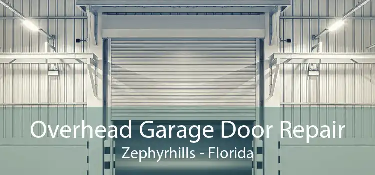 Overhead Garage Door Repair Zephyrhills - Florida