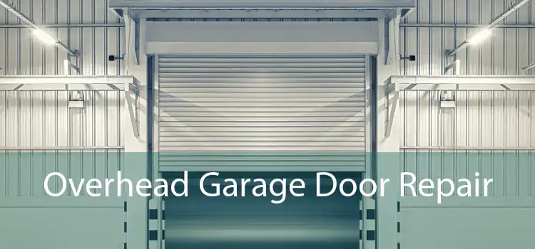 Overhead Garage Door Repair 