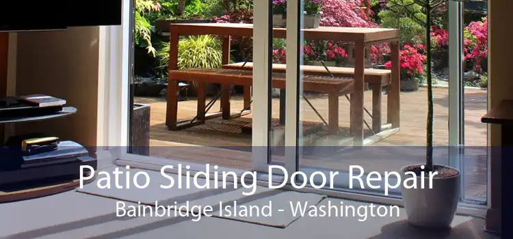 Patio Sliding Door Repair Bainbridge Island - Washington