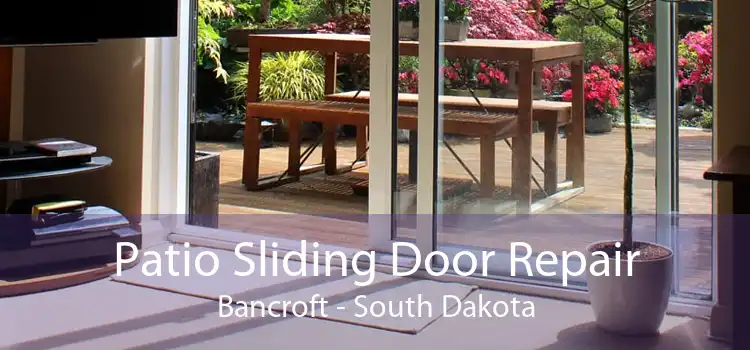 Patio Sliding Door Repair Bancroft - South Dakota