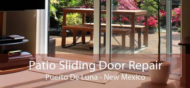 Patio Sliding Door Repair Puerto De Luna - New Mexico