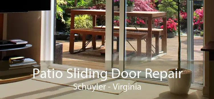 Patio Sliding Door Repair Schuyler - Virginia