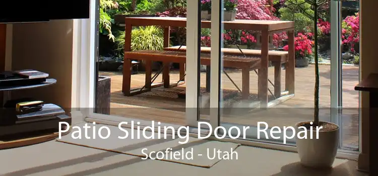 Patio Sliding Door Repair Scofield - Utah