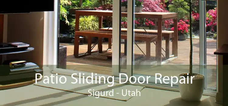 Patio Sliding Door Repair Sigurd - Utah