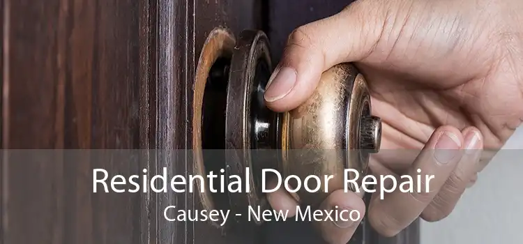 Residential Door Repair Causey - New Mexico