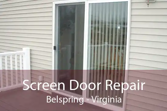Screen Door Repair Belspring - Virginia