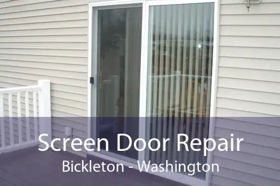 Screen Door Repair Bickleton - Washington