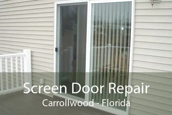 Screen Door Repair Carrollwood - Florida