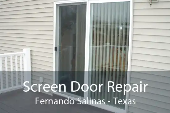 Screen Door Repair Fernando Salinas - Texas