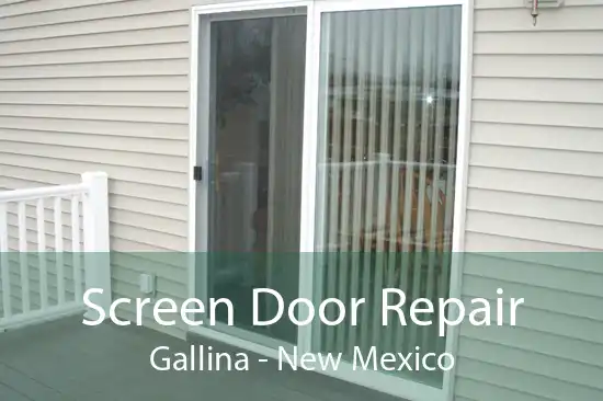 Screen Door Repair Gallina - New Mexico