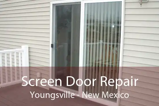 Screen Door Repair Youngsville - New Mexico